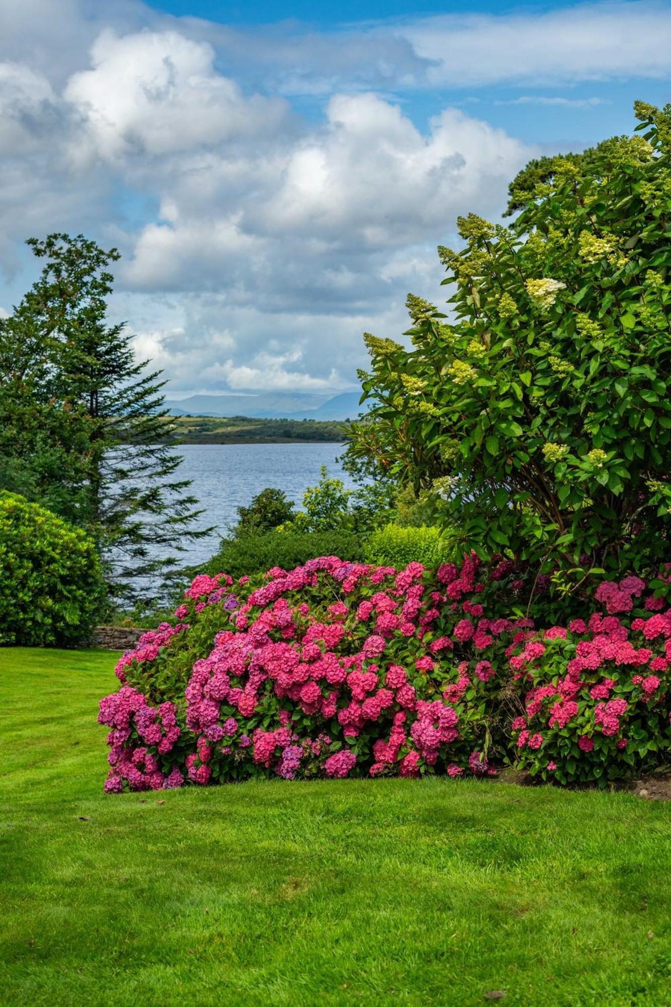 Ard Na Sidhe Country House Hotel Killorglin Extérieur photo