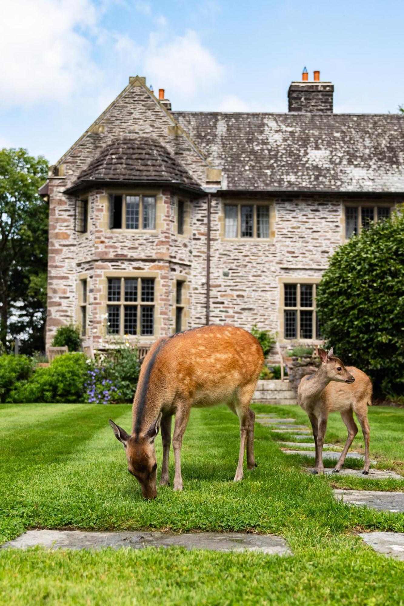 Ard Na Sidhe Country House Hotel Killorglin Extérieur photo